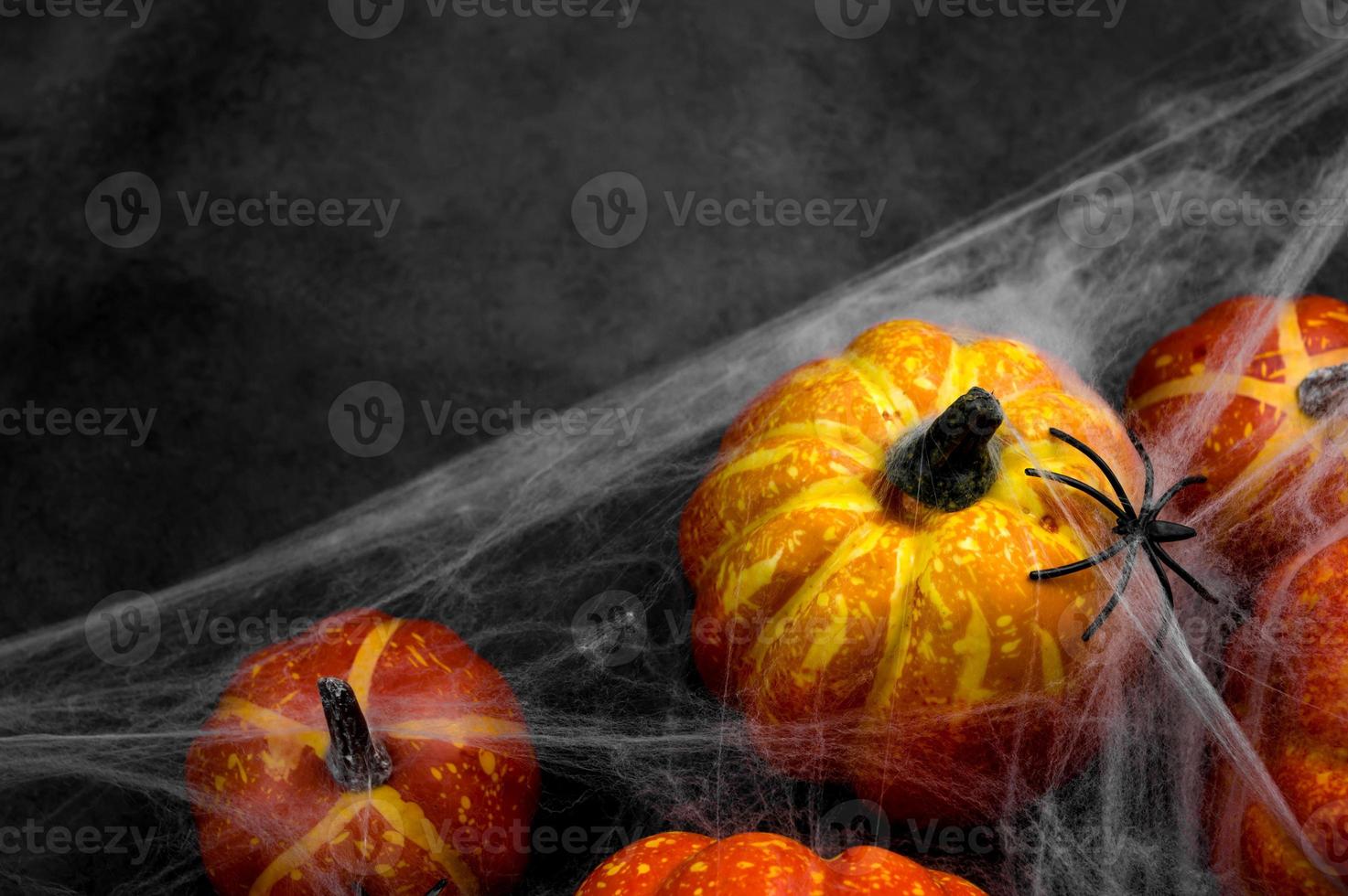 Top view on spooky halloween background with pumpkins covered in webs with spider.Copy space banner photo