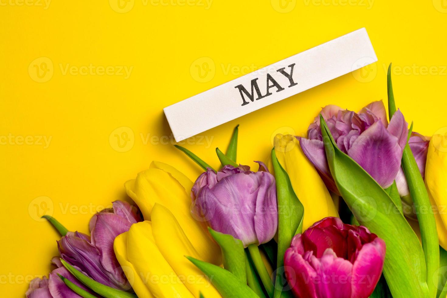 tarjeta de felicitación de primavera con coloridos tulipanes y mayo escrito en bloque de madera. banner de espacio de copia foto