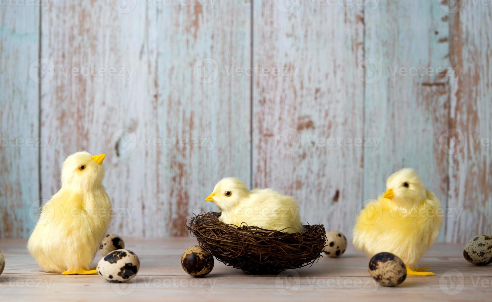 Easter greeting card with yellow chicken surrounded with quail eggs. Banner with place for text photo