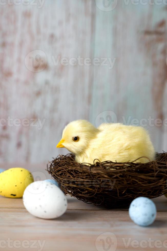 Easter greeting card with small chicken surrounded with eggs against blue background.Vertical banner photo