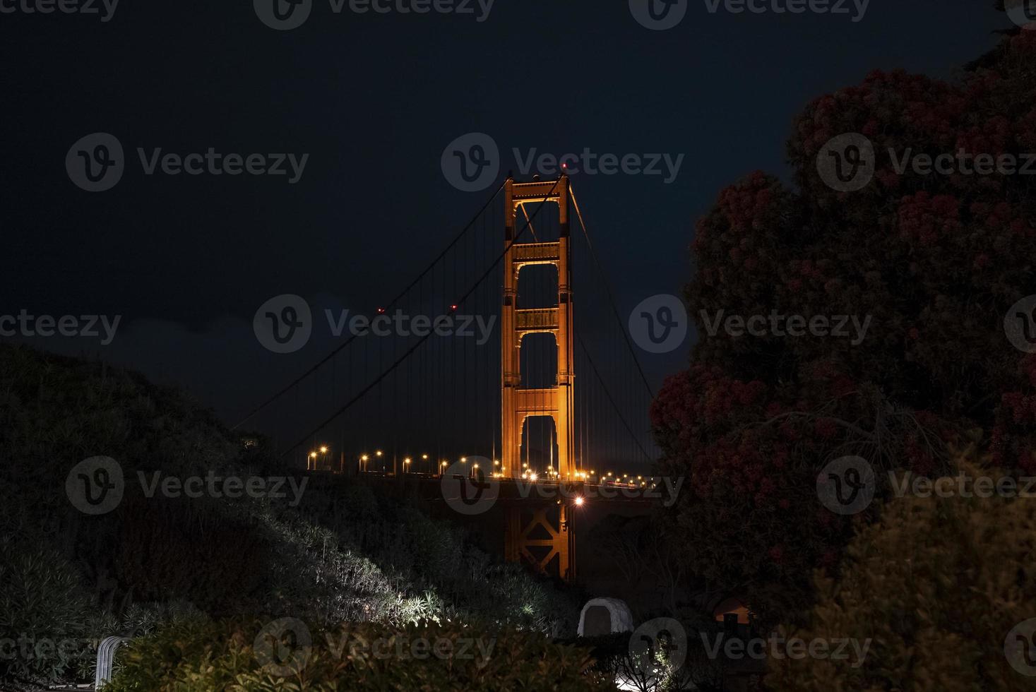 Illuminated Golden Gate Bridge at San Francisco seen through trees at night photo