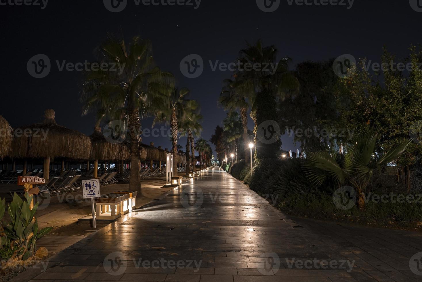Perspectiva decreciente del sendero entre palmeras en la playa durante la noche foto