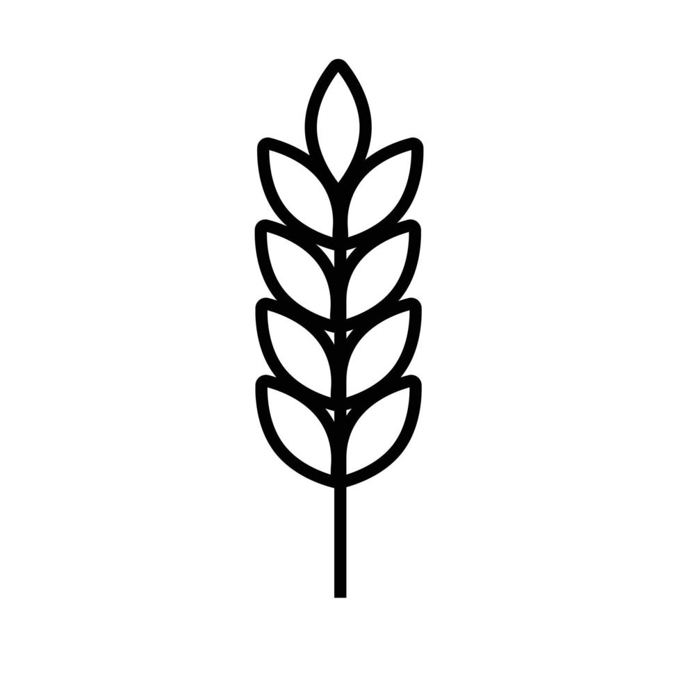 Spikelet  of wheat in doodle style. Simple black and white sketch of wheat, barley or rye stalk for bakery products, flour, package.Vector illustration vector