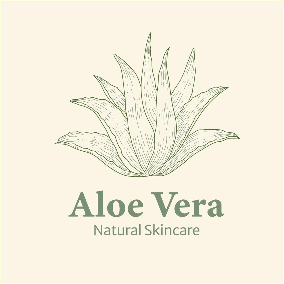 logotipo dibujado a mano de aloe vera vector