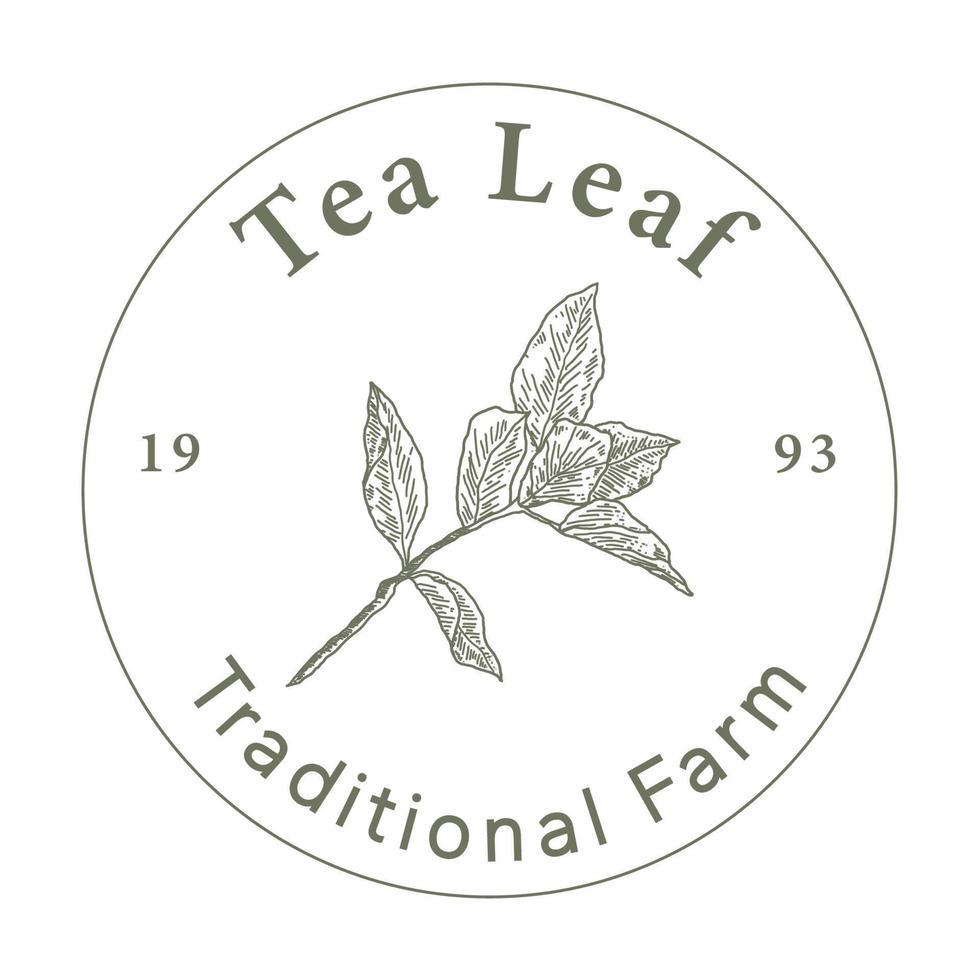 Tea Leaf Logo vector