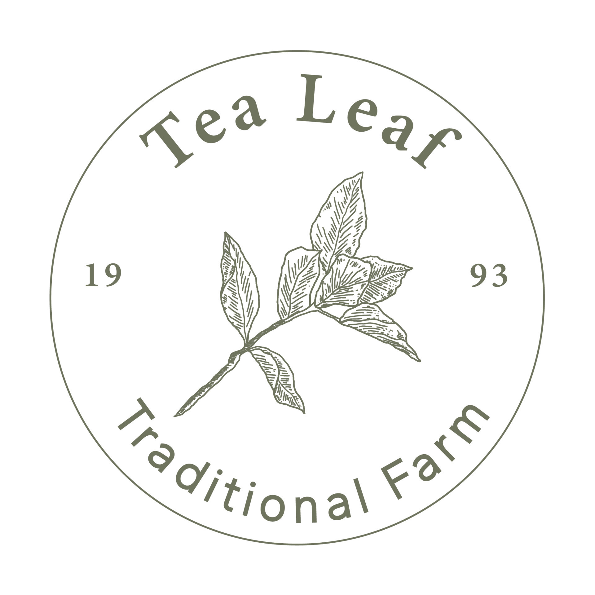 Tea Leaf Logo 16700577 Vector Art at Vecteezy