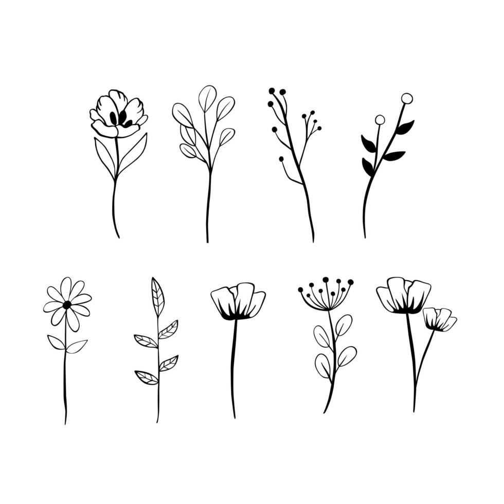 Black line doodle long stem flowers on white background. Vector illustration about nature.