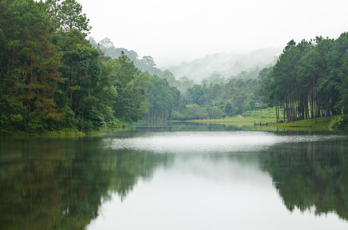 Nature landscape at morning of lakes and pine forests photo