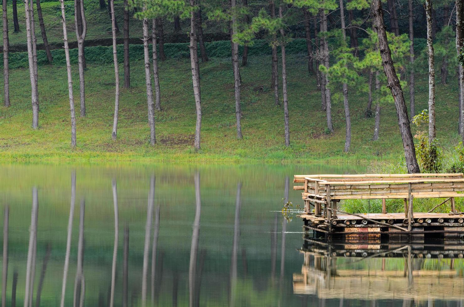 pang ung, hermoso lago forestal en la mañana foto