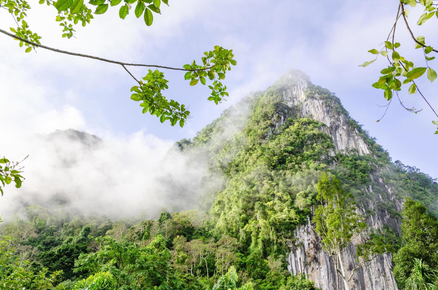 Lush high mountains covered by mist photo