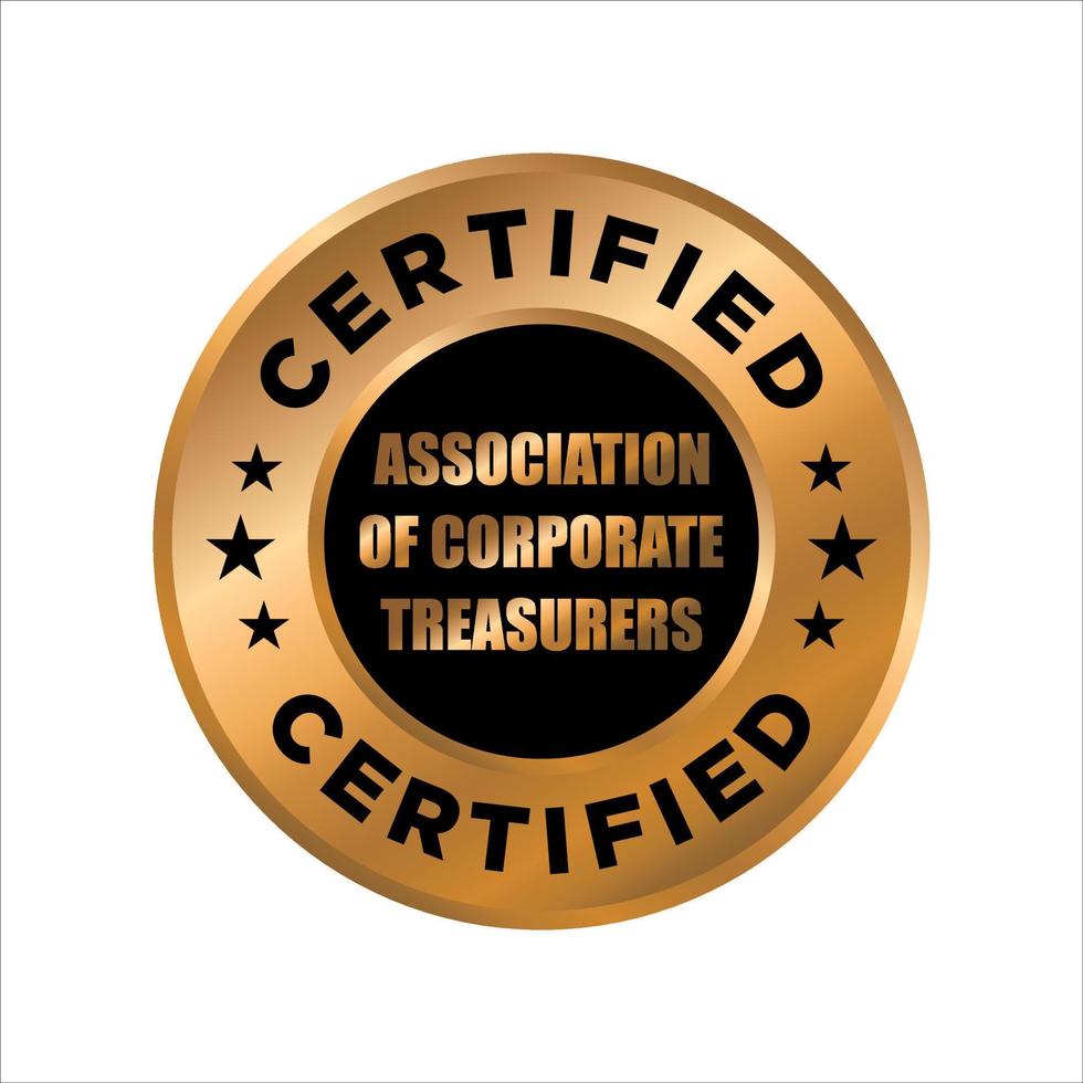 Professional Finance Certification Badge Design Template. Certified Company Examination stamp vector