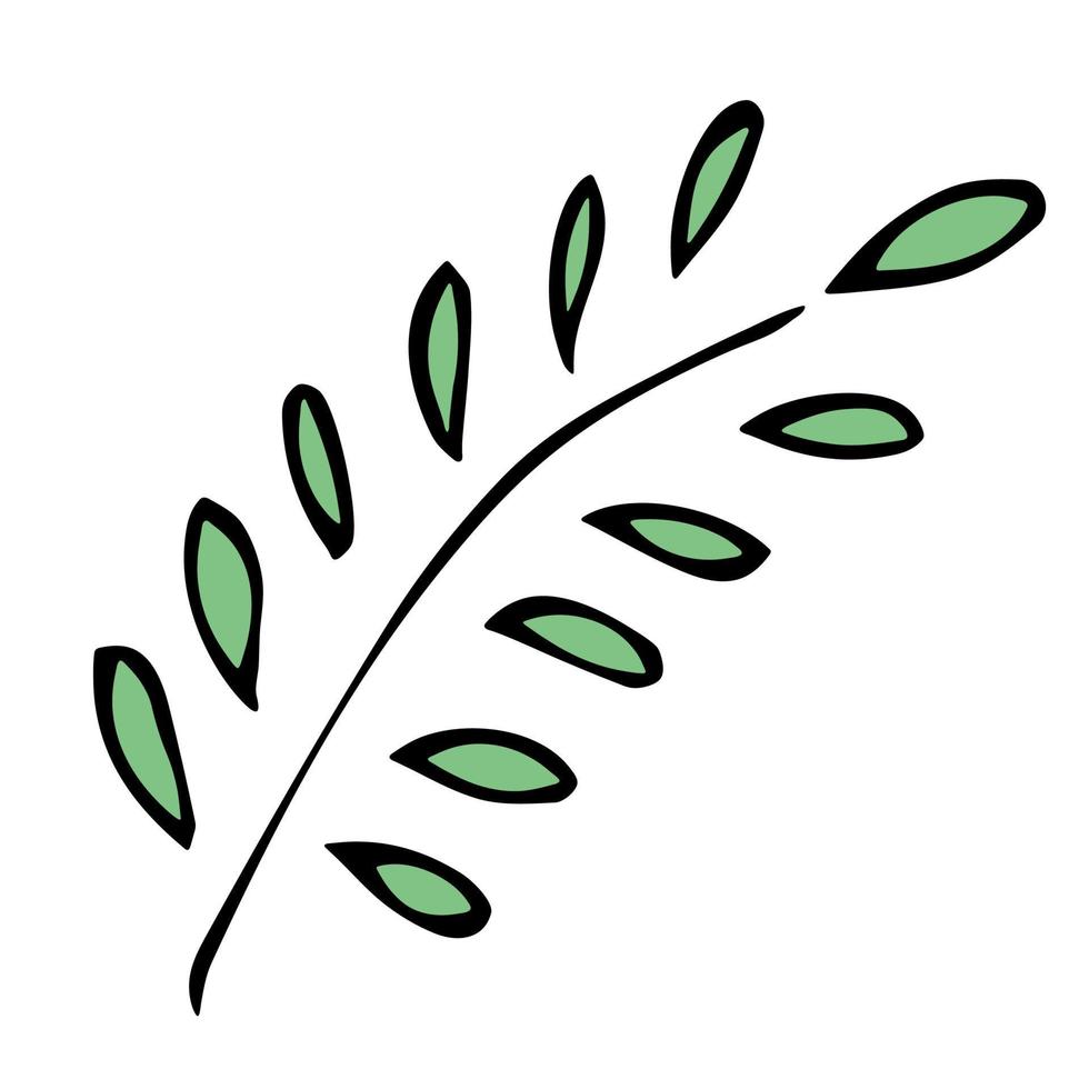 feuille simple dessinée à la main. clipart éco doodle. illustration  botanique 17082574 Art vectoriel chez Vecteezy