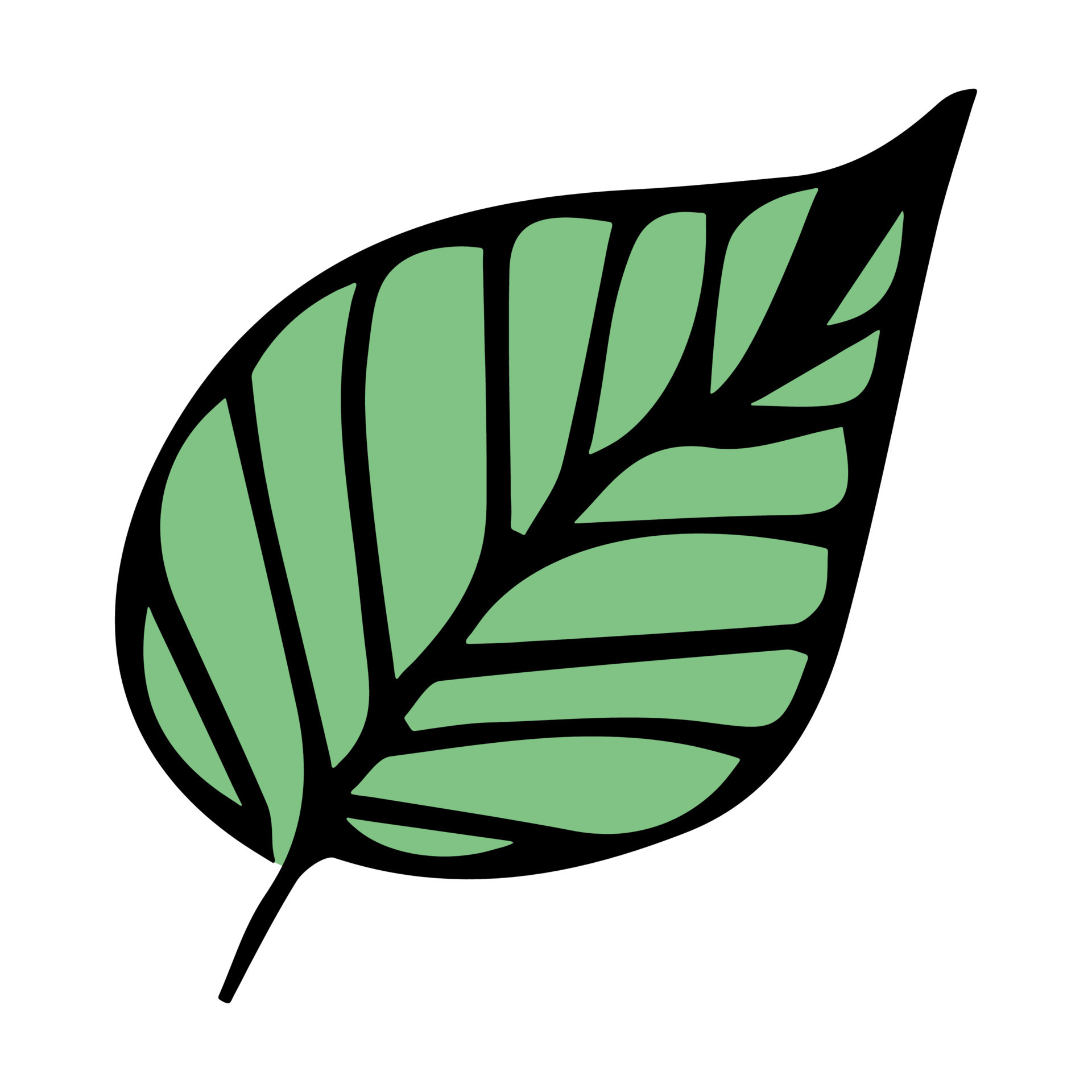 Hand drawn simple leaf. Eco doodle clipart. Botanical illustration