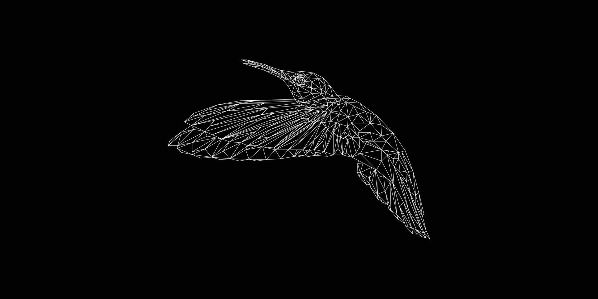 ilustración poligonal de colibrí, en la línea blanca y fondo negro vector