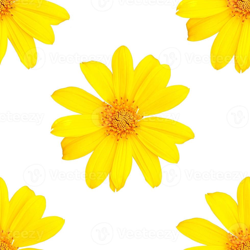 pattern of yellow flowers for summer photo