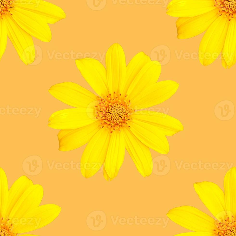 pattern of yellow flowers for summer photo