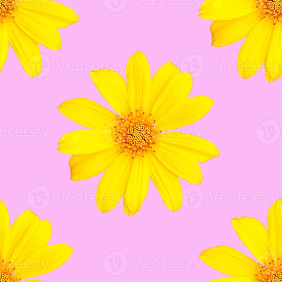 pattern of yellow flowers for summer photo