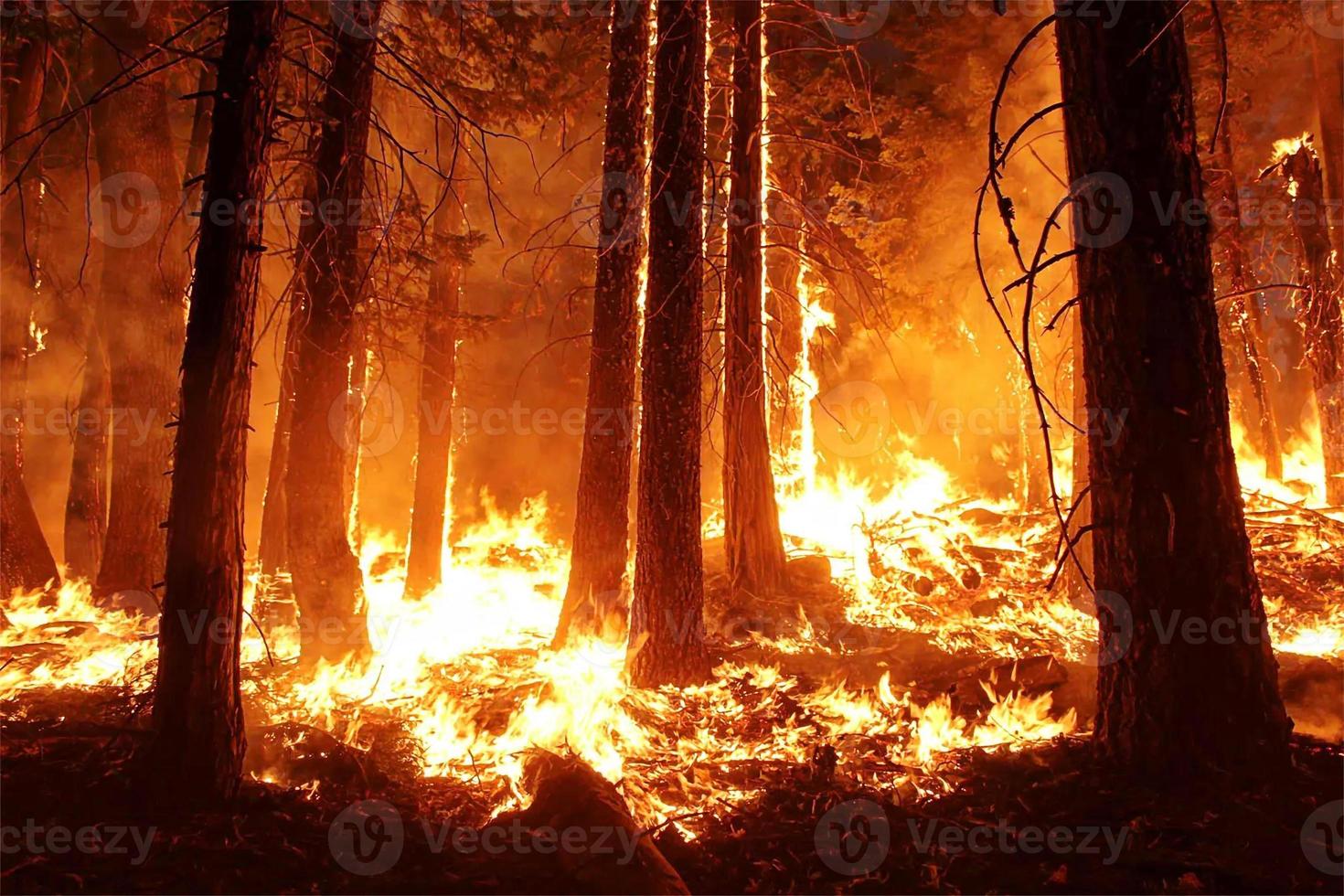 incendios forestales, árboles quemados, árboles quemados por fuego y humo después de incendios forestales, contaminación y muchas llamas de humo sobre fondo negro, textura de llama de fuego ardiente foto