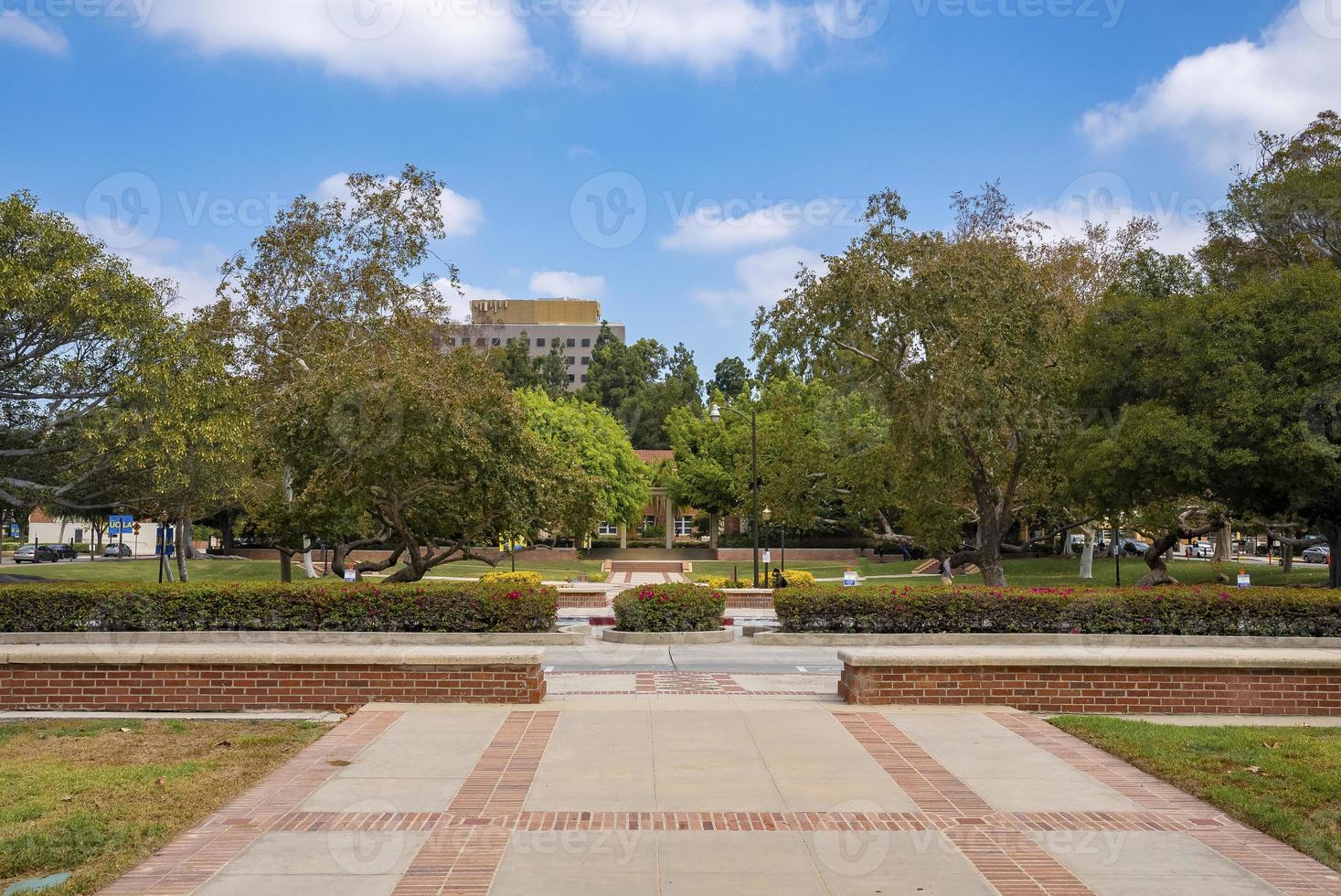 Trees growing in garden at campus of the University of California, Los Angeles photo