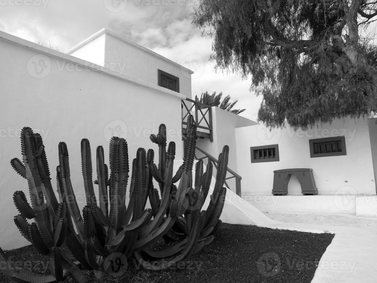 the island of lanzarote photo