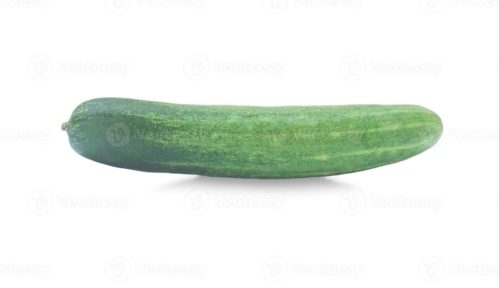 Single green fresh cucumber vegetable isolated on white background with clipping path photo