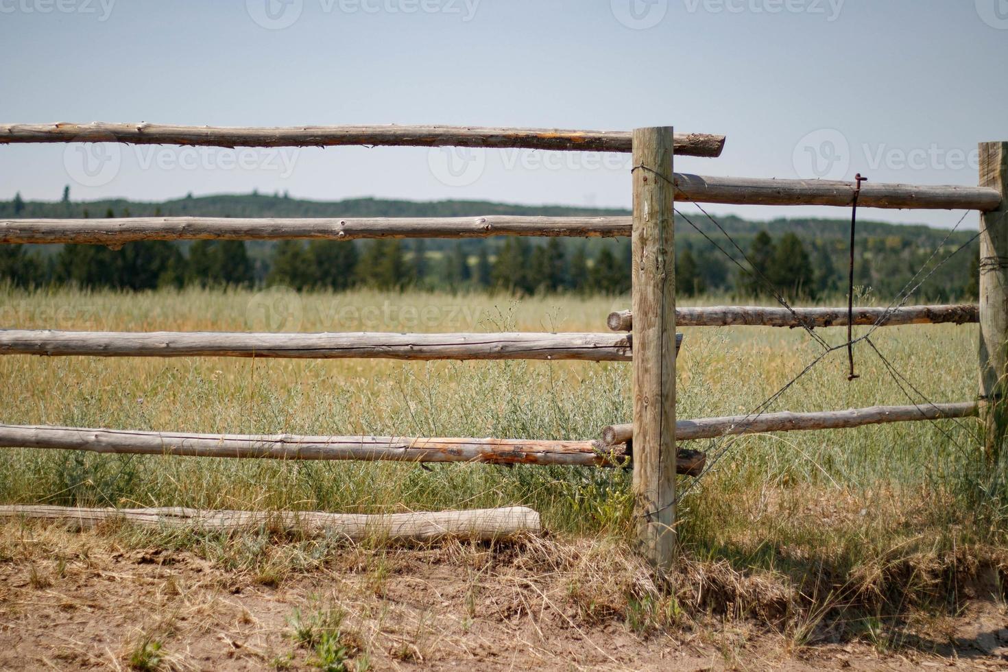 cerca y un campo foto