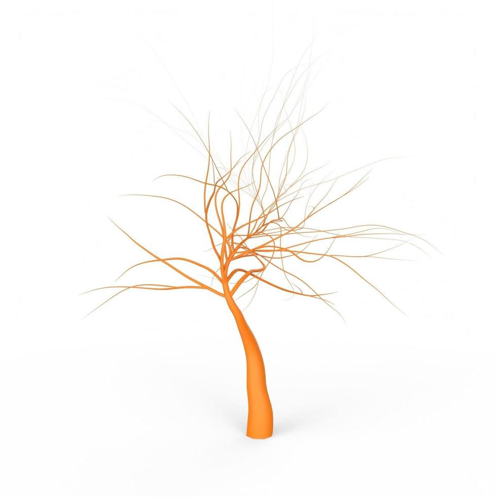 roots isolated on white background photo