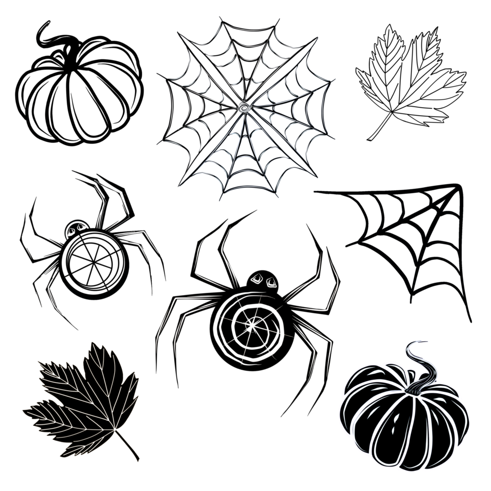 Set of autumn Halloween illustrations with spider, spider web,       pumpkin and maple leaves. png