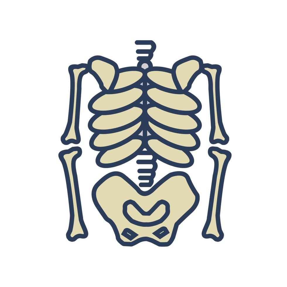 Skeleton Vector Icon