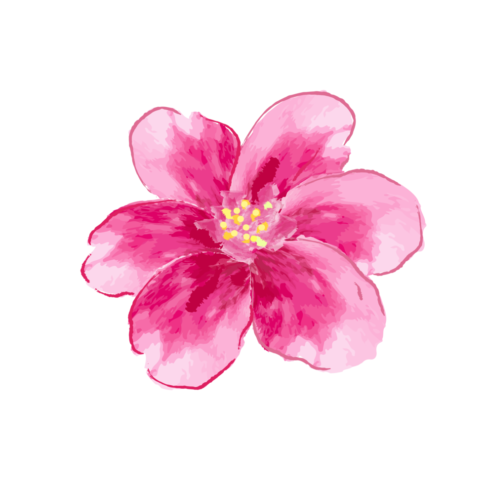 Element Flowers shape PNG transparent. Free PNG transparent