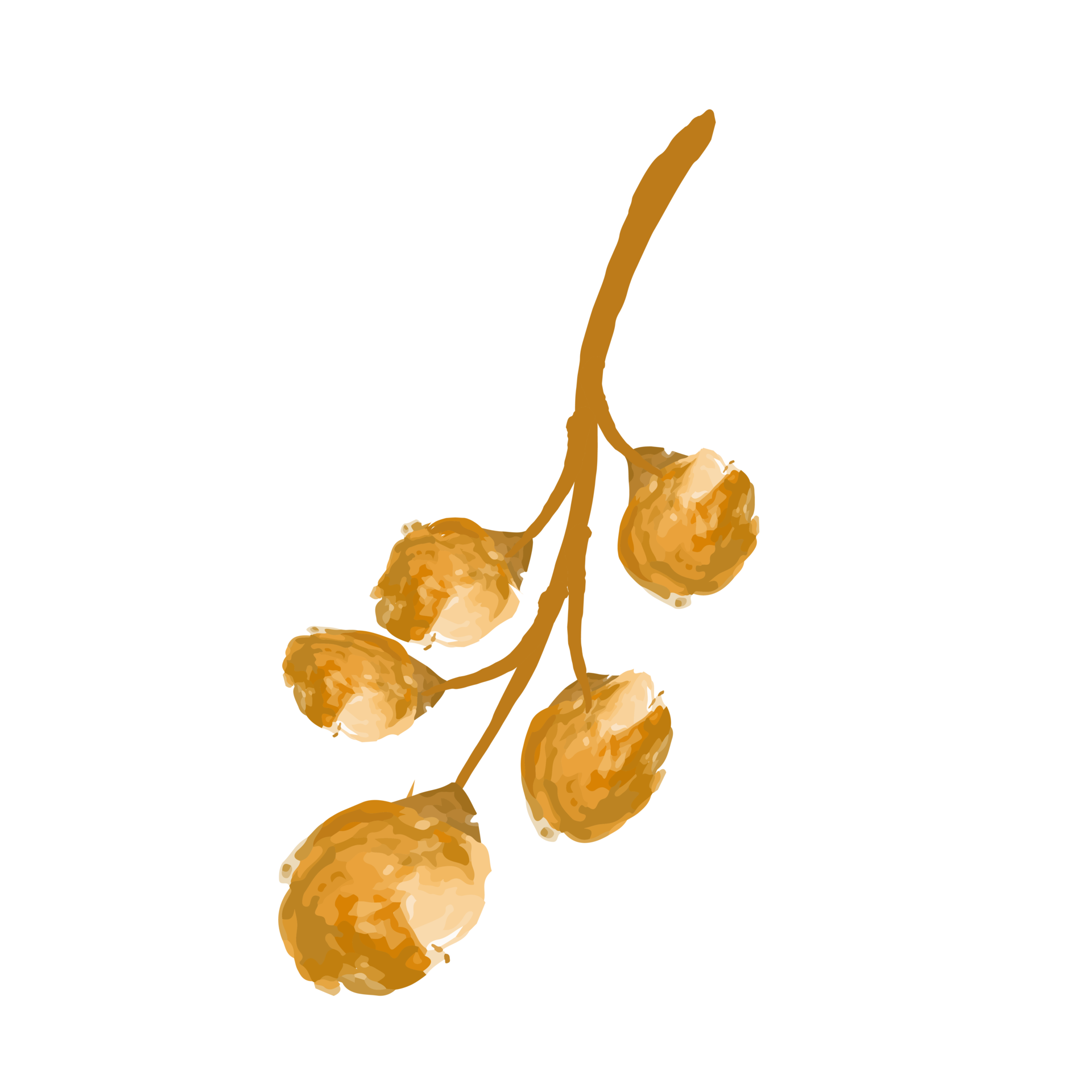 elemento hoja de oro. hoja de