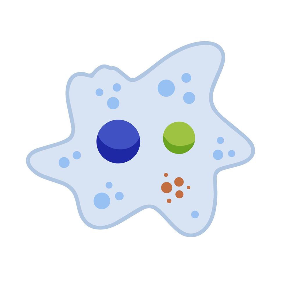 Amoeba cell. Small unicellular animal. Virus and bacteria. Education and science. Flat cartoon illustration vector