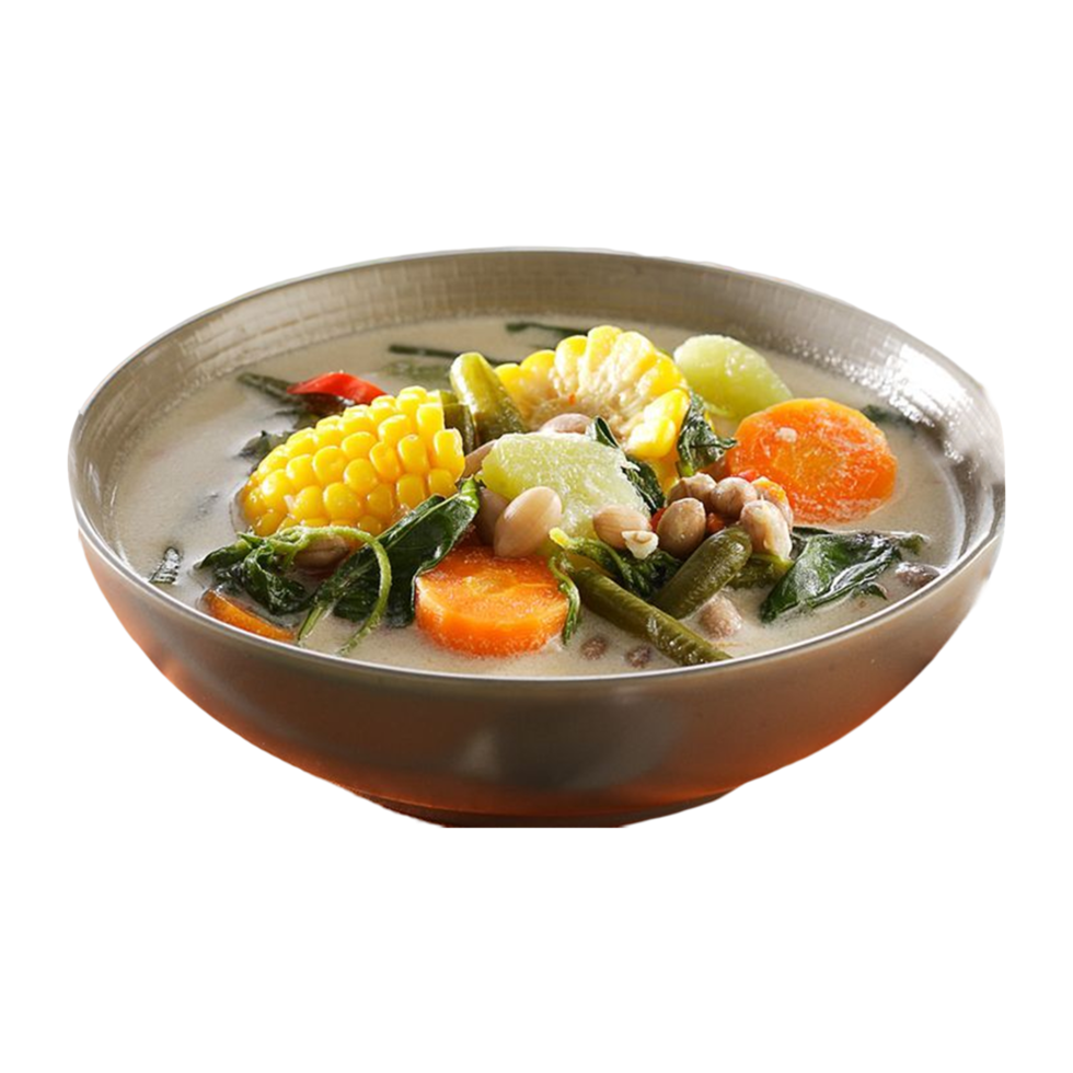 sayur lodeh eller grönsaker med kokos mjölk soppa png