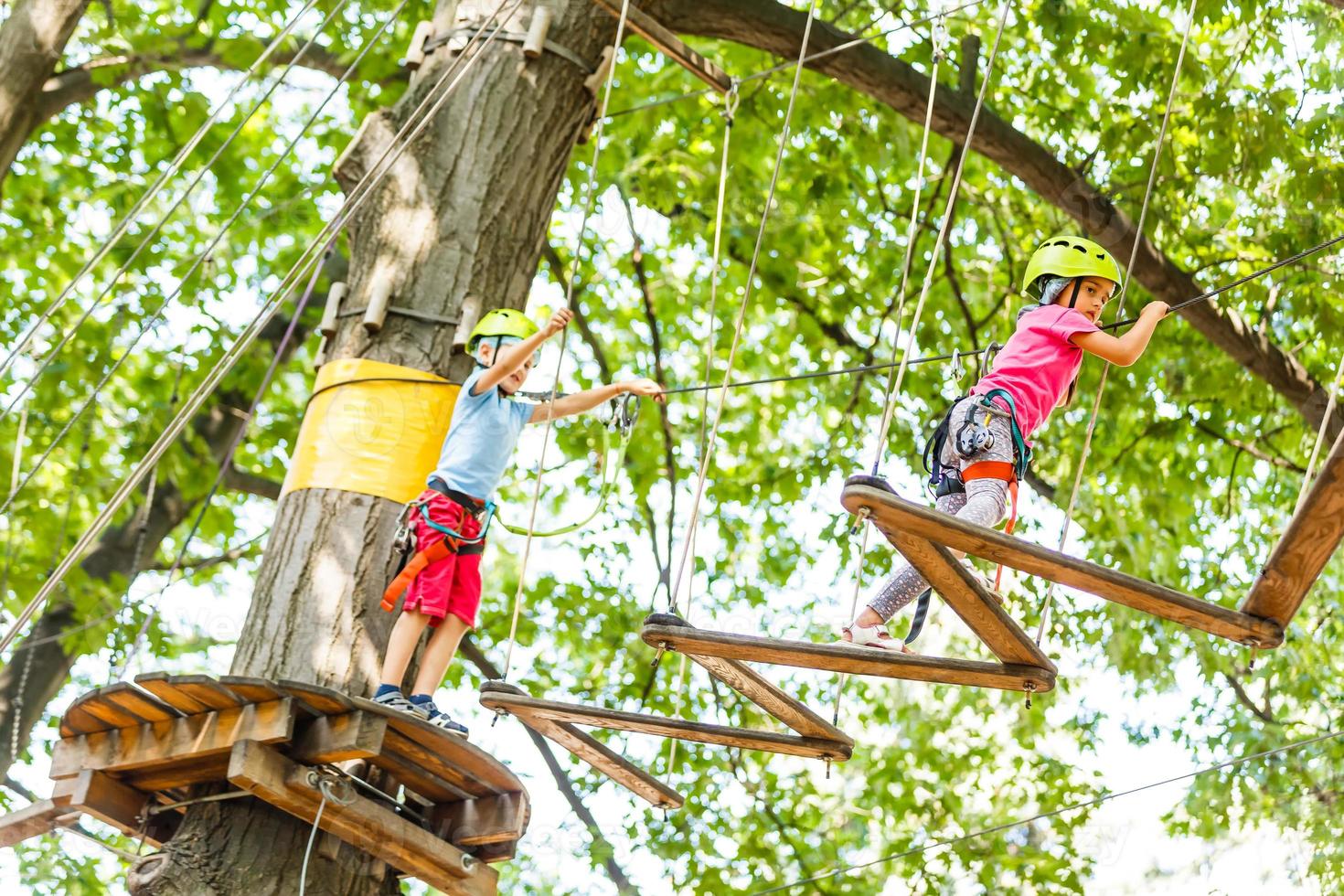 happy little children in a rope park on the wood background photo