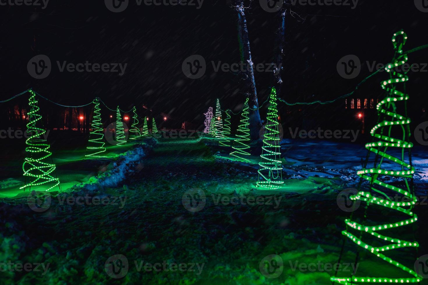 Snowy path in the park illuminated photo