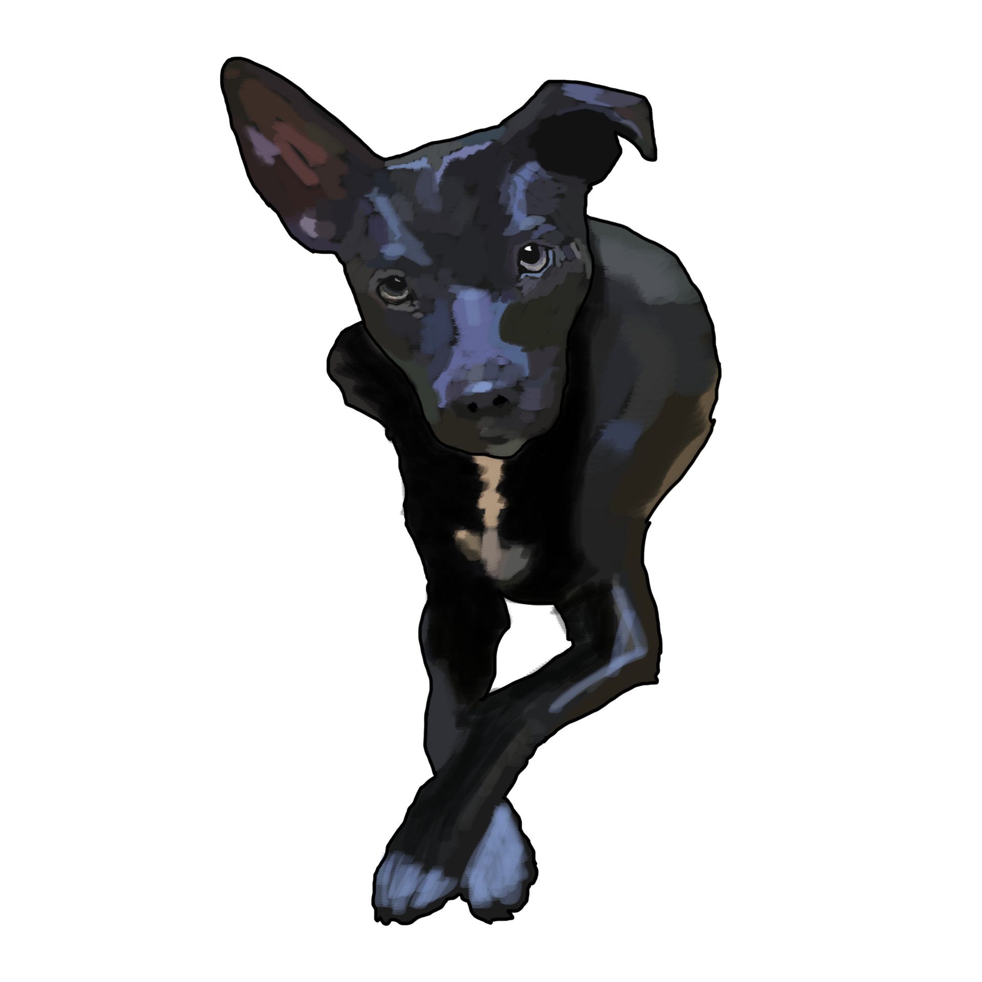 perro-negro-dia-del-perro-16720420-png