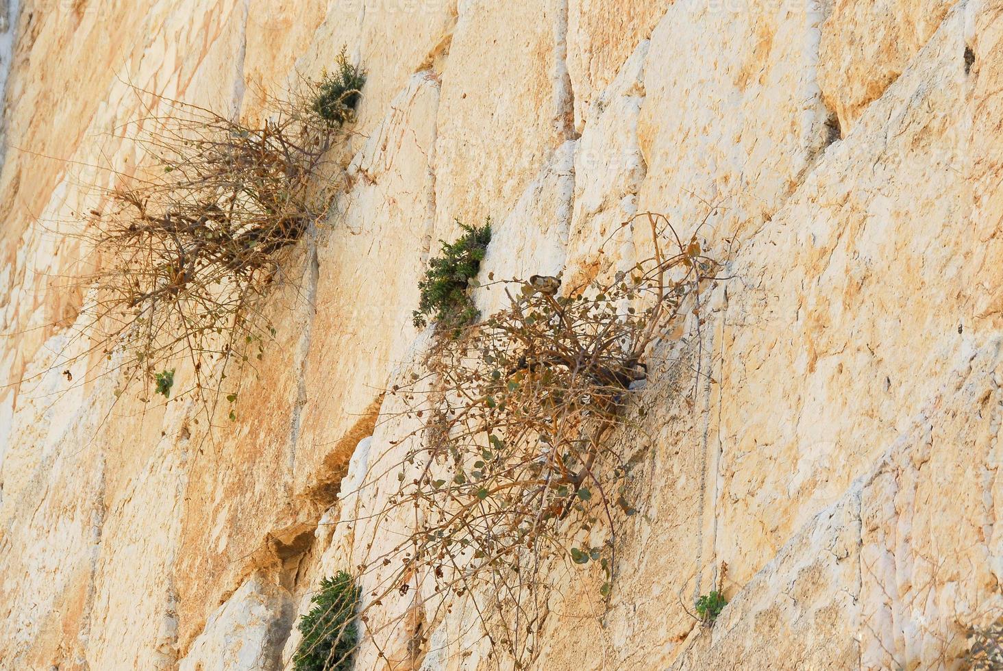 Close up of the Western Wall in Jerusalem. photo