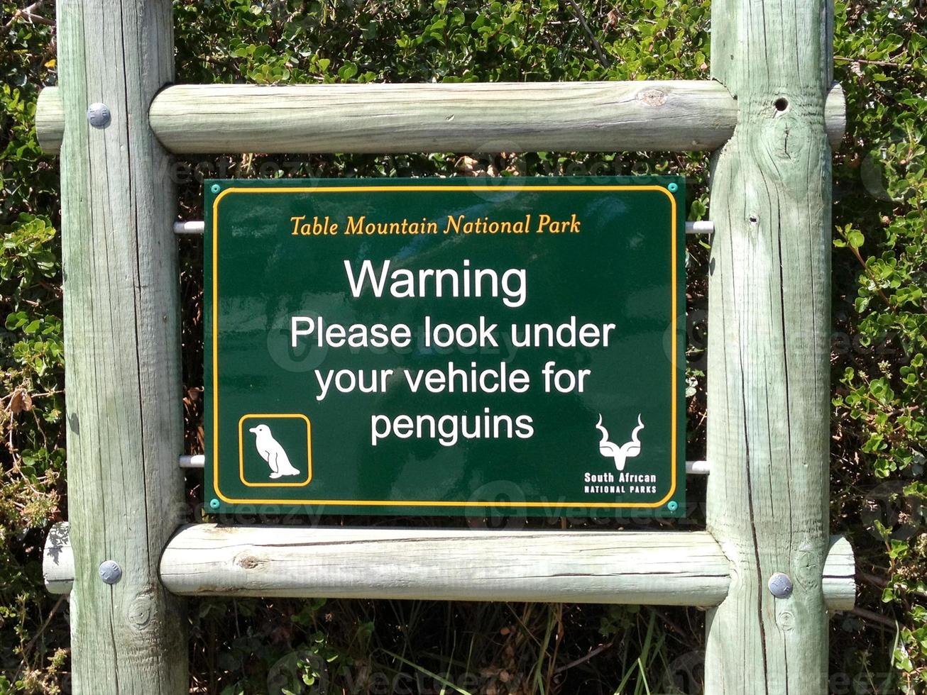 Penguin Sign - Table Mountain National Park photo