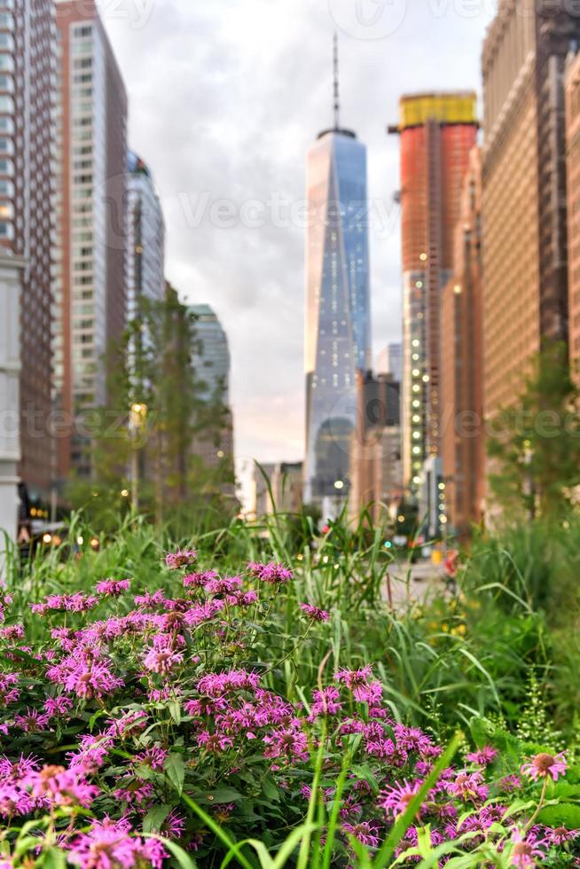 View of World Trade Center photo