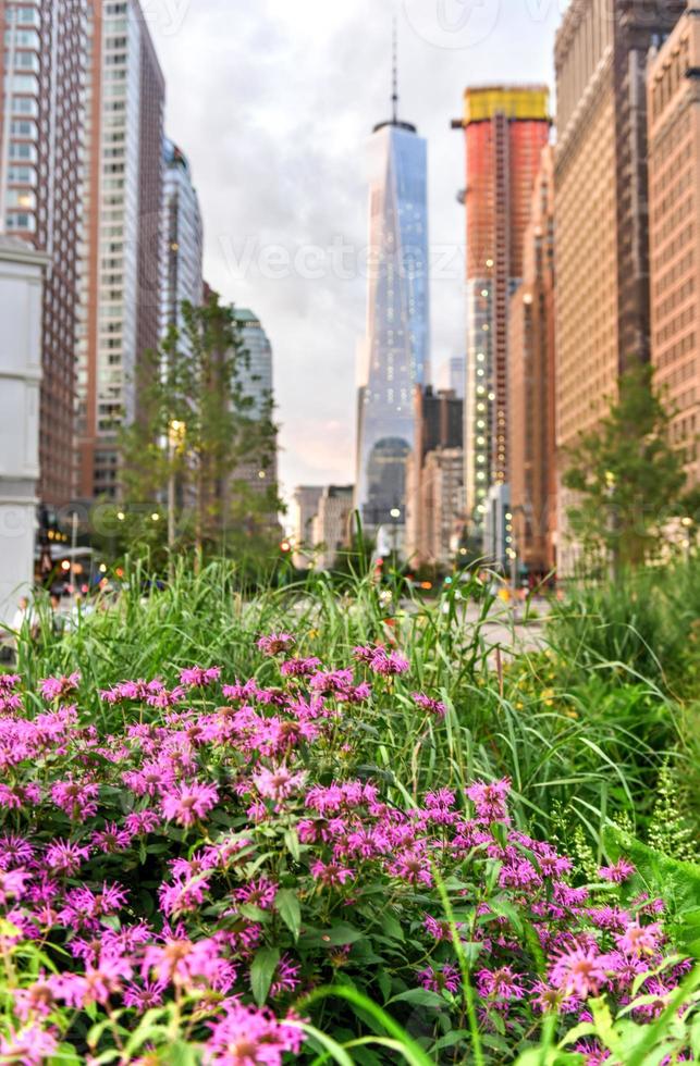 View of World Trade Center photo