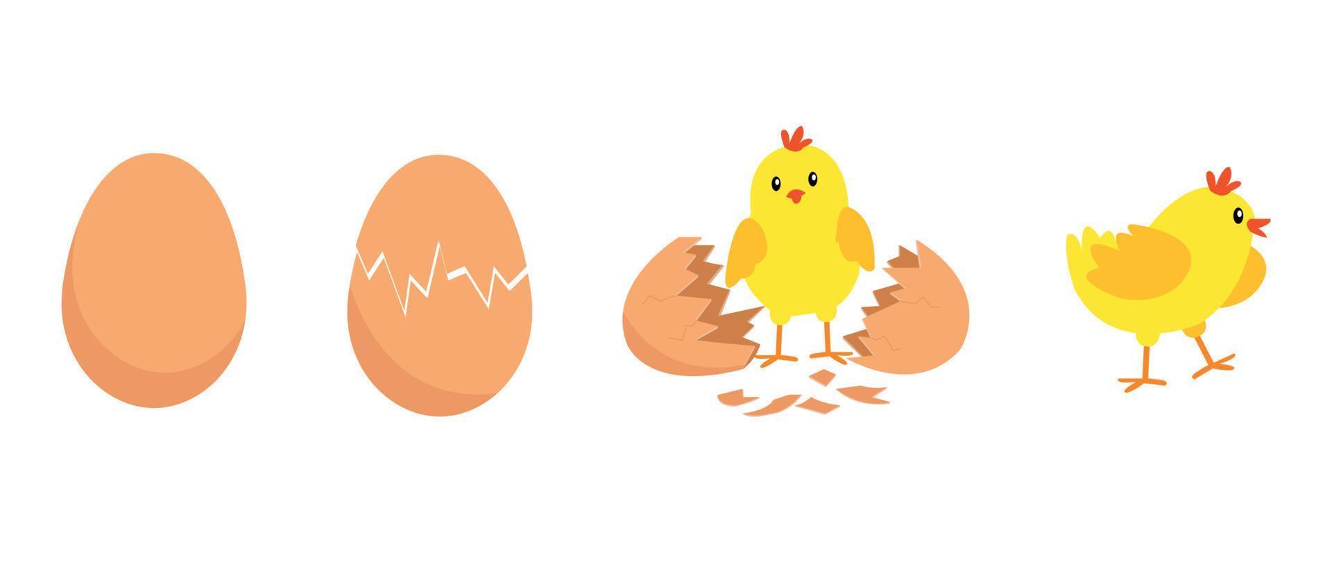 Chicken hatching from the egg. Cartoon baby chick birthday step-by-step process. Funny and educational illustration for kids. vector