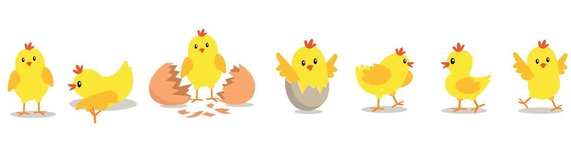 Chicken hatching from the egg. Cartoon baby chick birthday step-by-step process. Funny and educational illustration for kids. vector