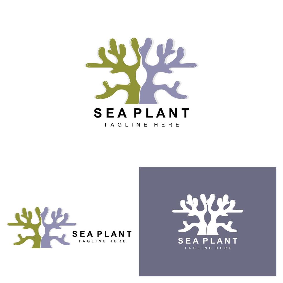 Seaweed Logo, Sea Plants Vector Design, Grocery And Nature Protection