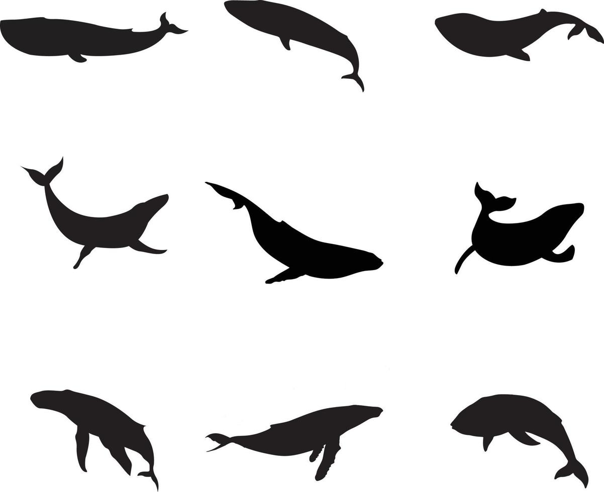 una colección vectorial de ballenas para composiciones artísticas vector