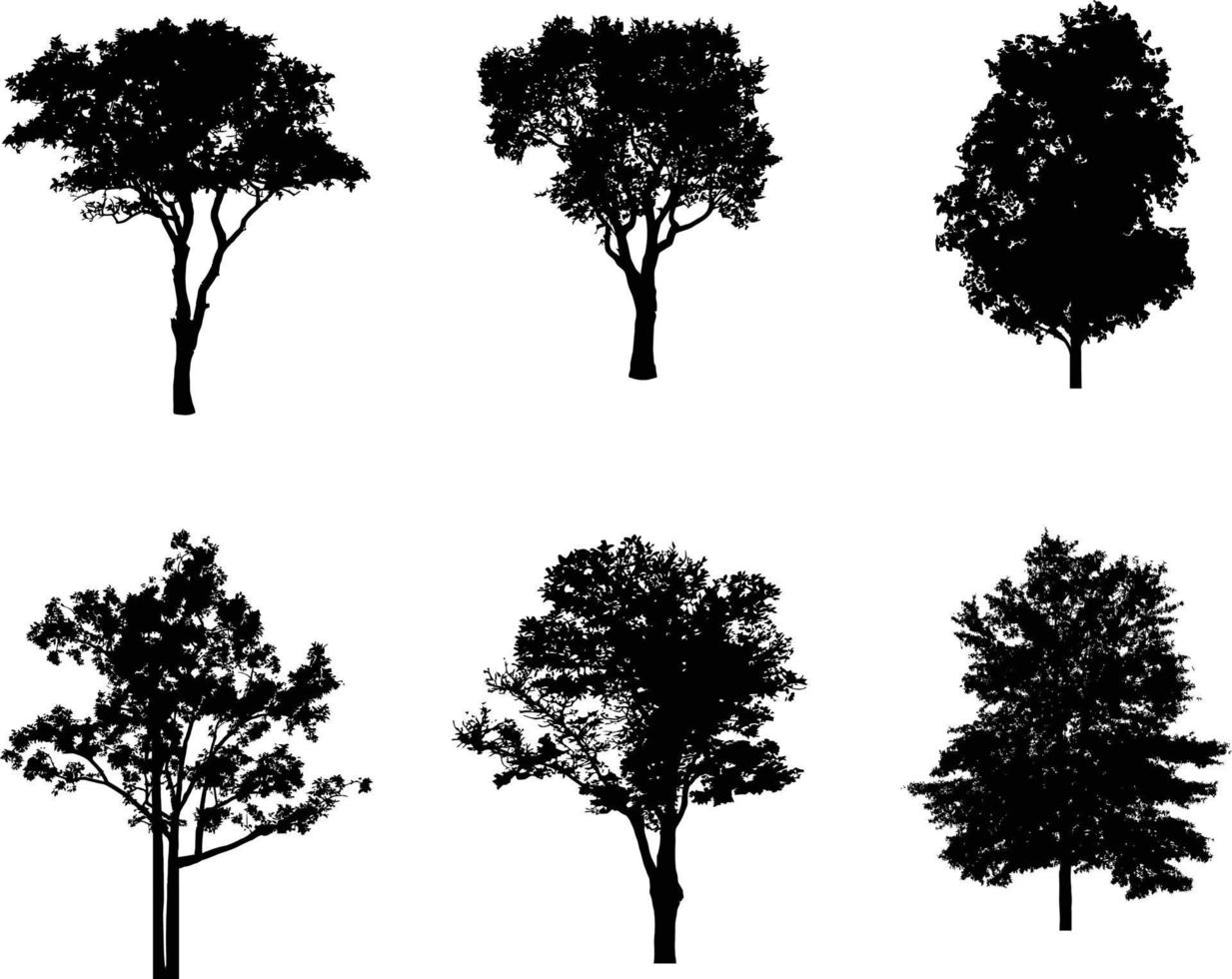 una colección de vectores de árboles y follaje forestal