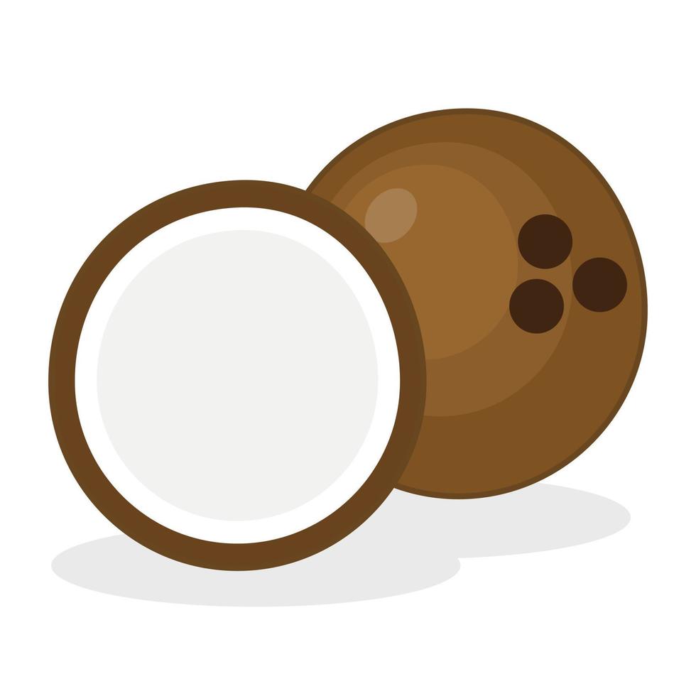 Coconut vector flat design tropical fruit illustration free download asset ready to use editable