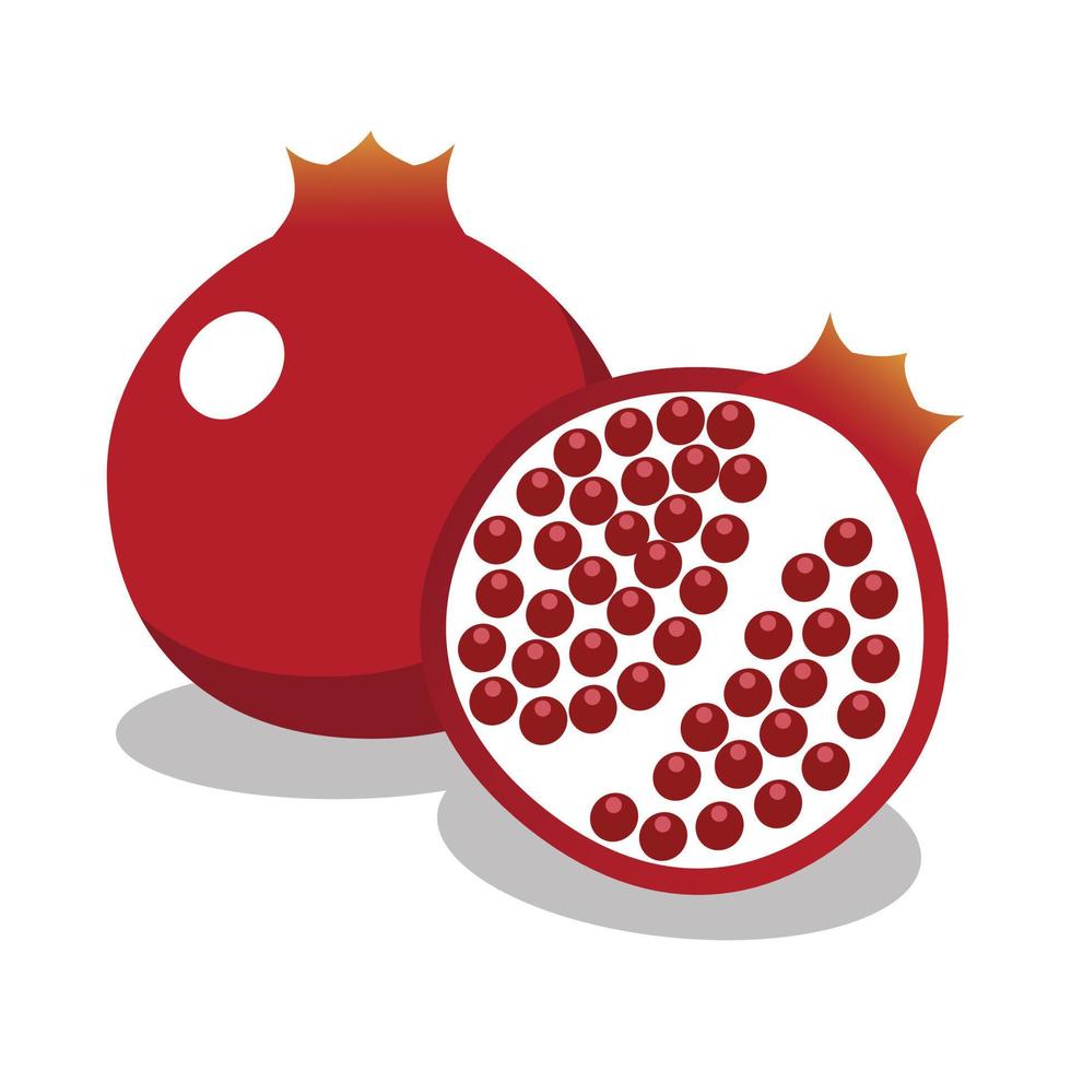 Pomegranate Vector design flat illustration of tropical fruits in simple art style perfect for asset food editable ready to use