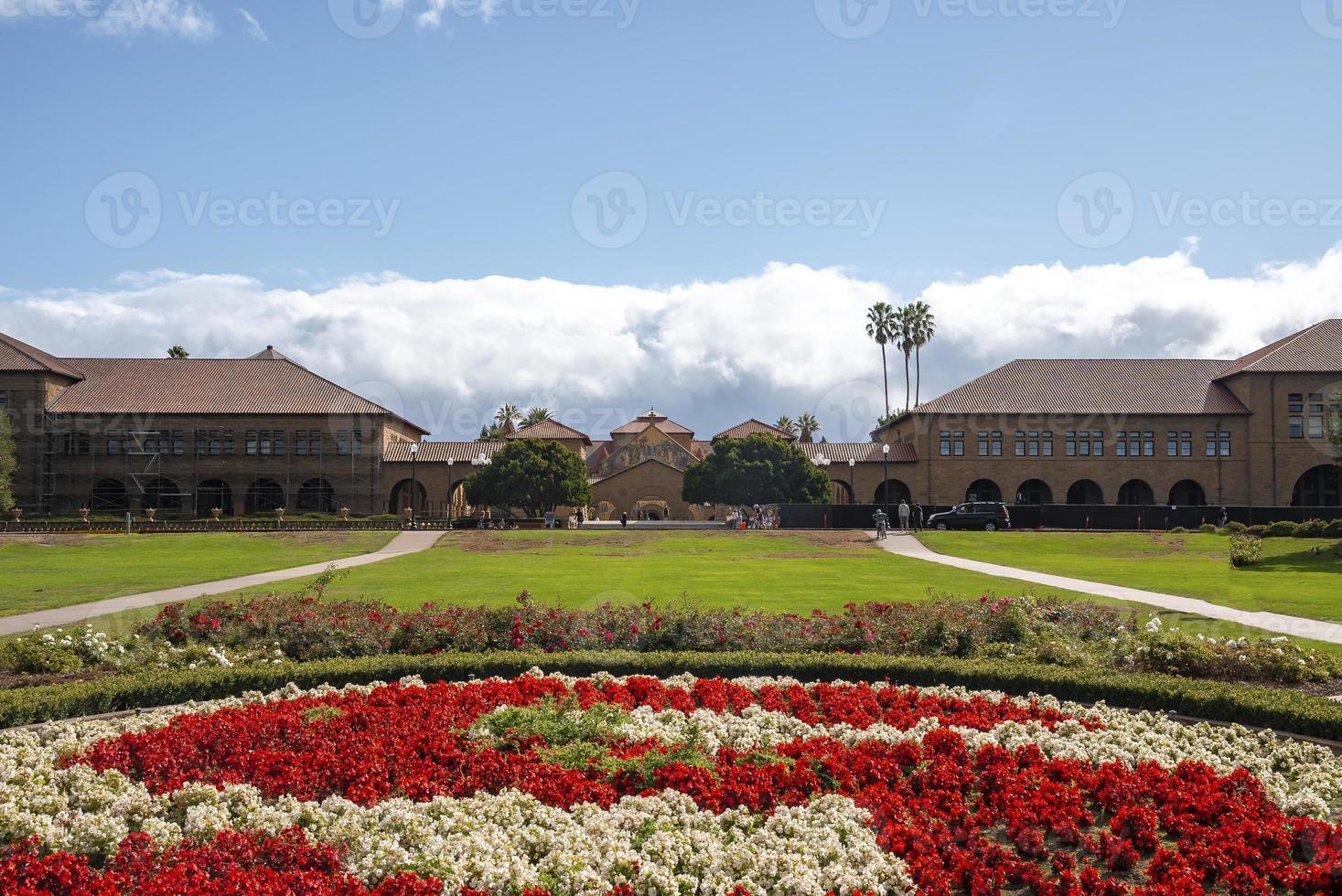Beautiful flowers growing in front of Stanford University building photo