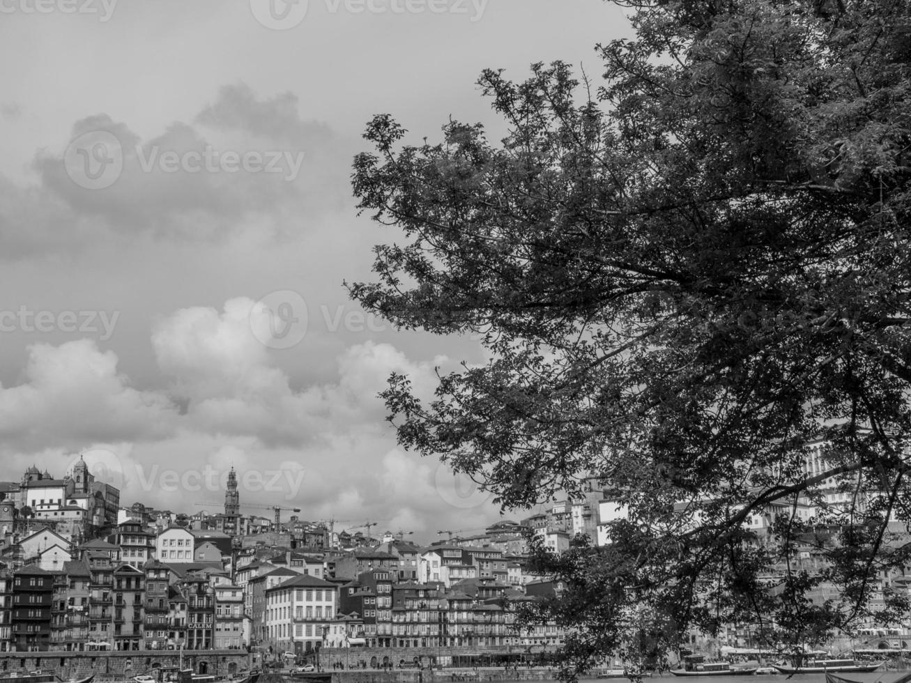 porto at the douro river photo