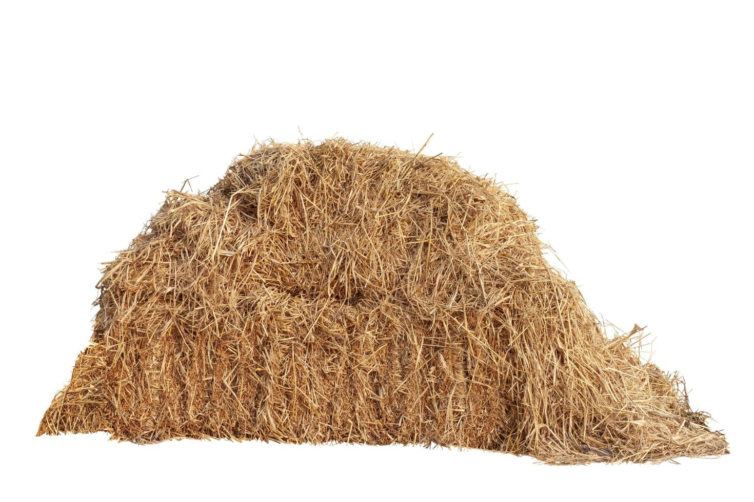A pile of hay isolated on white background. photo